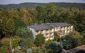 Zielony Las